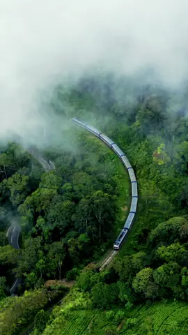 Beautiful Train Ride through the mist in Sri Lanka 🇱🇰 🥰 #srilanka #travel #beautifuldestinations #fypage #fypシ #fyp #fypシ゚viral #BreathtakingBeauty #trainride #paradise 