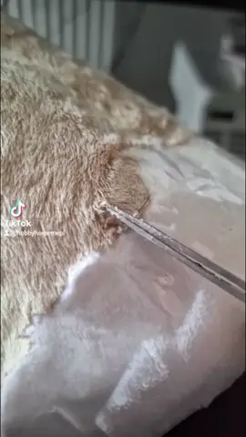 takie cudeńko 😃#mehorse #mehorses #hobbyhorse #realistichobbyhorse #realistichh #realistic #hh #hobby #horse #art #realisticart #artdoll #showjumping #keppihevonen #realistickeppihevonen #horseart #käpphäst #riding #horseriding #horsephoto #stickhorse 