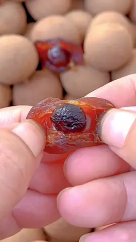 Vải sấy khô đặc ruột siêu chất lượng #FoodFestOnTikTok #trending #xuhuong #viral #vải #vảithiều #vảisấy 