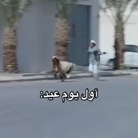 #الاضحى #عيد_سعيد #اضحية #ضحايا #خاروف_مشوي #hail #طقطقة#ضحك#هسترة#هههه#حائل #السعودية #foryou #صباح #dog #اضحك #حايلندا 