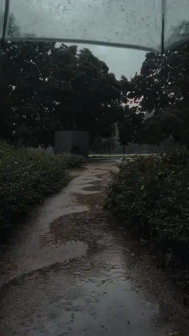 Walk around an empty park under the summer rarnstorm☔️ #rainyaesthetic #rainaesthetic #rain #storm #cinematic #calm #emptiness 