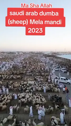 #mianumrulwahab #qurbani #qurbani2023 #foryou #h #fyp#1millionaudition #page #hajj2023 #hajj2023🕋🤲inshallah 