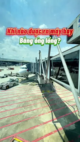 Khi nào được ra máy bay bằng ống lồng? Anh em thích ra máy bay bằng cách nào nhất nè 🥰 #thohoang #vtmgr #LearnOnTikTok #tiktoktravel #maybay 