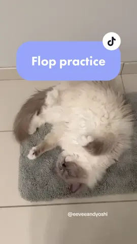 Maybe someday he’ll be as graceful as Eevee