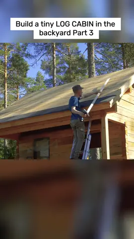 Build a tiny LOG CABIN in the backyard Part 3 #build   #house   #cabincrew   #bushcraft   #cabin   #woodworking    #survival  #forest    #Outdoors   #viral   #fyp     #foryourpage