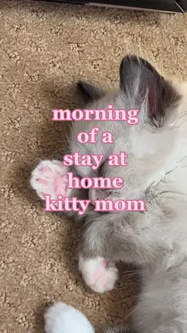 my life and schedule pretty much revolves around her now #morningroutine #dayinmylife #Vlog 