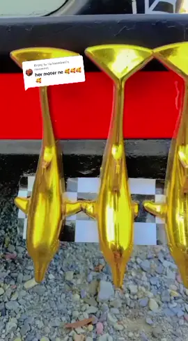 Replying to @ris4numberi  𝐢𝐧𝐬𝐭𝐚:𝐣𝐚𝐧𝐢_1125#fypシ #ladll1 #fypシ゚viral #foryou #viralvideo #ladlli1125 #ladllimotor1125 #ladll1 #fypシ #