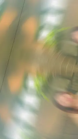 Hình ảnh đâu chỉ hiển thị cho bạn