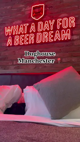Is this the coolest dog friendly hotel in the UK?📍#fyp #dog #dogsoftiktok #doghouse #doghotel #beer #brewdog #manchester #dachshund 