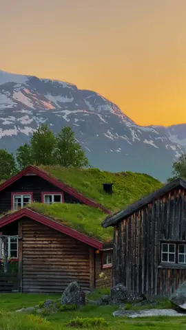 A Norweigan summer 🌾 taken between 11 pm and 1 am