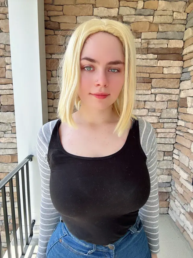 Android 18 dragonballz 