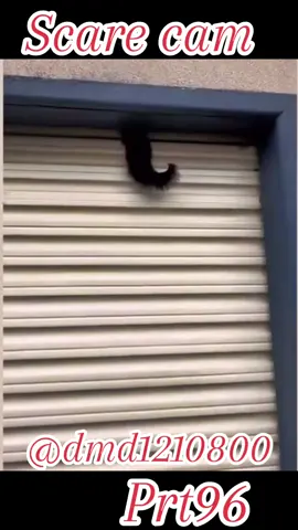 Scare cam prt96#dmd1210800 #f #fyp #foryou #foryoupage #fypシ #fy #fypシ゚viral #fypage #tiktokviral #tik_tok #tiktok #viral #viralvideo #viraltiktok #4upage #funny #scare #scared #scary #scarecam thnx 4 watching & 4 all the support 👍👍👍👍👍👍👍👍👍👍👍👍👍👍🥰🥰 is only 4 the funn😂😂😂😂😂🤣🤣🤣