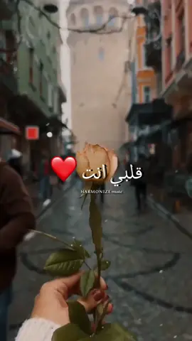 انت قلب .. قلبي انت ❤️ . . #انت_قلب_قلبي_انت🥺♥ #انت_قلبي #حب #أغاني  #تريند #اكسبلوررررر #fypシ 