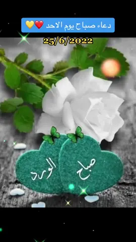 #مريم🤍❤🤍❤🤍 