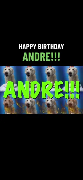HAPPY BIRTHDAY ANDRE 🤘🤘🤘 #epichappybirthdays #epicbirthdays #happybirthdaysong #andre #funnybirthdaycard #birthdaymeme 