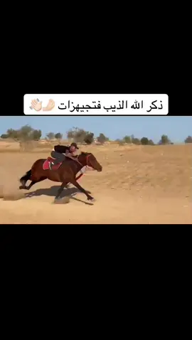 #اكسبلور #لايك #تعليق #القيه_رهط_حوره_شقيب_تل_السبع_عراد🔓 #متابعه