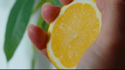 When life gives you lemons, create a cinematic masterpiece. 🎥🍋 #foodvideo #foodporn #foodtiktok #food #lemon #lemonade 
