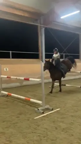 EEEEEYOWWW #perfection #bounce #bouncer #horseshow #horseriding #horsetraining #horselove #equestrian #hunterjumper 