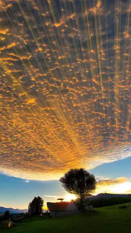 nih mentahan nya jangan kupa follow ya☺️ #aesthetic #senjasorehari #quotes #sadstory #fyp 