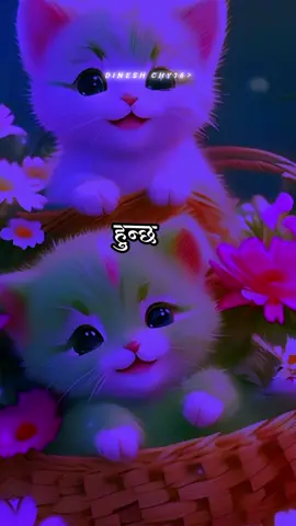 एकछिन तिमी रिसाउदा संसार शुन्य हुन्छ#fyp #dineshchy167 #statusvideo #foryoupage #keepsupporting 