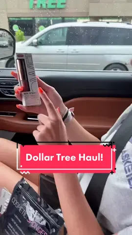 Dollar tree haul with the big kid! #haul #dollartree #dollartreehaul #skincarehaul #skincareroutine #fyp 