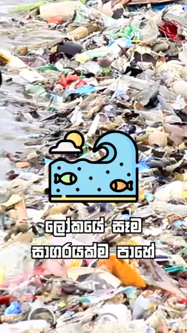 The Ocean Cleanup එකට Respect 💯🔥 #srilanka #sinhala #sinhalasong #sinhalatiktok #srilankan_tik_tok🇱🇰 #srilankan_tik_tok #srilankan #wishmapituwa #fypシ #fyplanka 