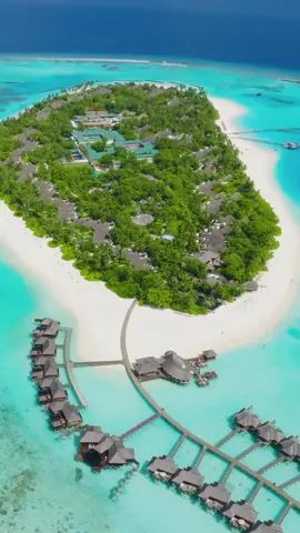 Mesmerizing crystal-clear blue water from all angles at Sun Siyam Iru Fushi 🏝️💙 . . . #sunsiyam #sunsiyamirufushi #sunsiyamresorts #maldives #maldivesvacation 