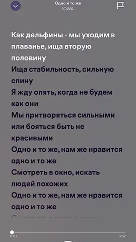 Как дельфины 🐬 #spotify #spotimusic #глобальныерекомендации #lyricsvideo #iowa #одноитоже 