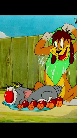#tomandjerry #cartoon #animation #مواقف_مضحكه #برامج #اطفال #ضحك #توم #جيري 