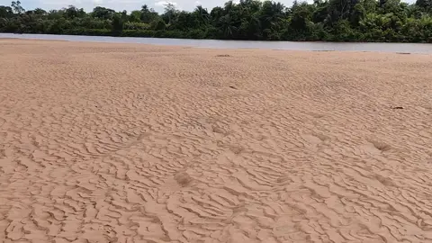 Phénomène de marée basse au village Nteva sur le fleuve Congo(Kongo-Central)...