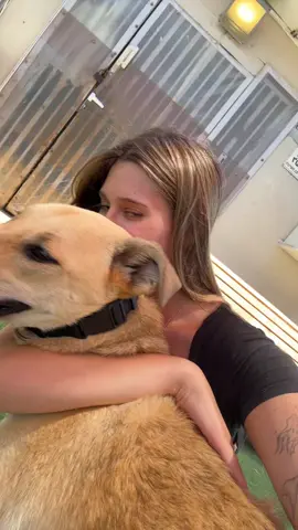 אי אפשר לתאר את האהבה שלי לכלב הזה #קלייד