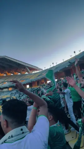 #fouryoupages #fyp #fyppppppppppppppppppppppp #portsaid #elmasry💚 جمهور المصري يحضر الدنيا تولع💚💚💚💚💚💚💚💚❤️‍🔥