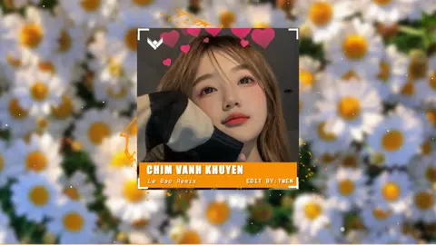 Nói lời xin chào! Khi mình gặp nhau | Vành Khuyên Nhỏ - Liu Grace ft Lê Bảo Remix #xuhuong #fyp #nhachaymoingay #chimvanhkhuyen #liugrace #lebao 