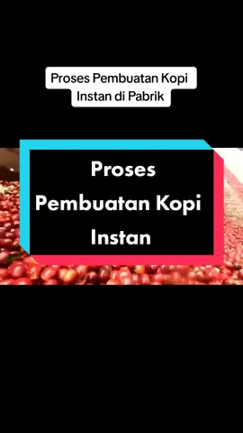 Proses Pembuatan Kopi Instan #kopi #kopiinstan #kopisaset #kopiinstant #proses #pembuatan #coffee 