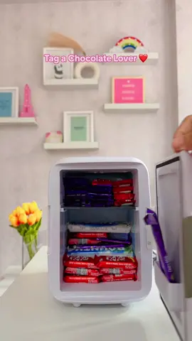 ✨Mini Fridge !!✨ #ichhyastore #minifridge #cute #chocolate #drink #coffee #fypシ #beer #viral #roomfridge #carfridge #fypシ #viral 