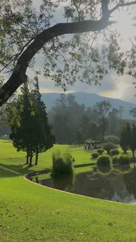 suasananya tenang, kepalaku aja berisik :)) #healing #bogor #aesthetic #vibes #ketenangan #kebunrayacibodas #cibodas #videomentahanesthetic 