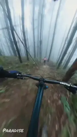 #vistasincríveis #paisagem #landscape #adrenaline #adrenalina #paraiso #paradise 