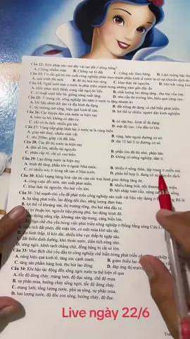 #khoahoccaptocdiali #meohocdiali #onthikhoic #diali12 