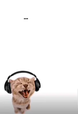 No controles- Flans✨ #rock80 #musica #gatos #holachallenge #gatomusical #me @CapCut @TikTok 