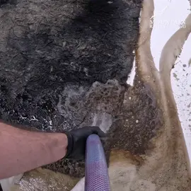 Smoke Damaged Rug Restoration #satisfying #asmr #carpetcleaning #rugwashing #restoration
