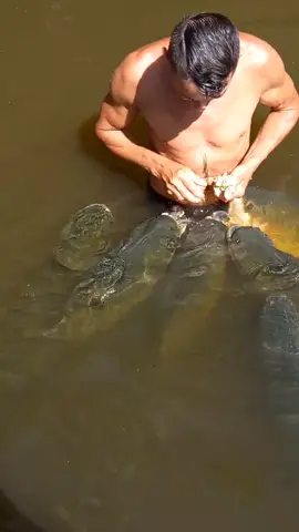 #valdemir  encantador de peixes gigante 