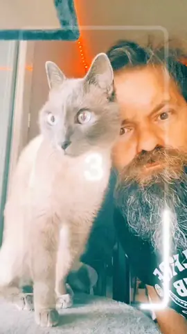 #fypシ  #mortalkombat  #cat 