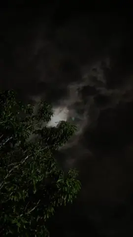 #السعودية🇸🇦 