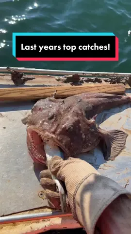Replying to @614Lyfe Like last year we’re going to do one for the first half of 23 since we have already caught a lot of cool stuff! I am currently editing it and will post it soon! Figured it was a fitting time for a refresher on last years catches for everyone that’s new! 🦞 Who was following for all of these?! #maine #ocean #lobster #lobsterfishing #commercialfishing #lobstertok #fy #fyp #fishing #seafood #rare #rarecatch #rarefind #interesting #coolcatch #DidYouKnow #educate 