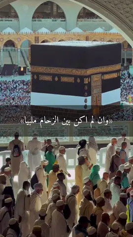 لبيك ربي 