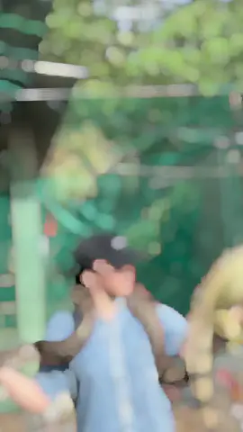 @MỘNG NƯ BẾN TE 