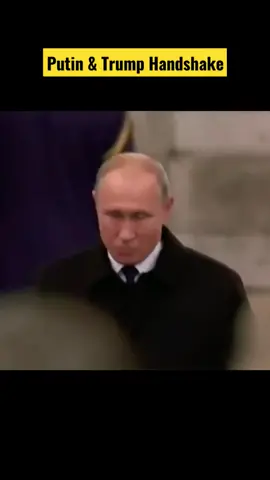 Putin Handshakes Trump  #shorts #russia