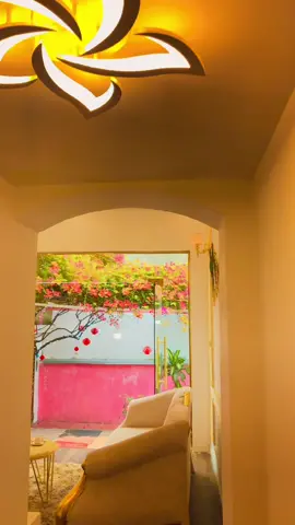 Góc thư giãn cùng ngắm hoa giấy nhà mình nhé . ☺️#hoagiay #xuhuong #hoagiaythailan #bìnhyên 