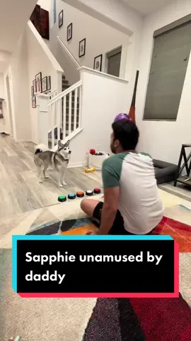 Sapphie not dealing with dad’s games today 😂😂😂 