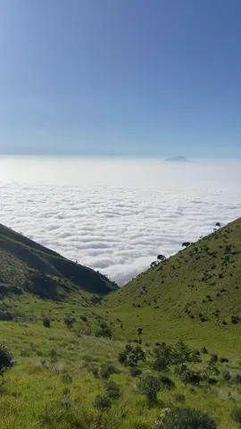 lautan awan merbabu cantik sekali #merbabu #merbabuviaselo #merbabumountain #merbabuviasuwanting #merbabuview 